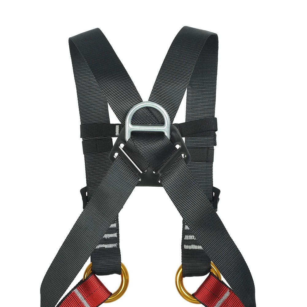 Arnés de cuerpo completo de ex - Kids Outdoor Gear reseña y precio