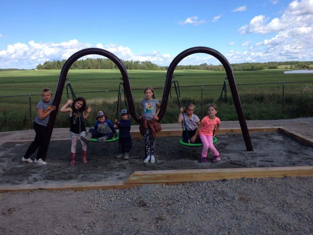 Exportado a Bangladesh Columpi - Kids Outdoor Swing Chair reseña y precio