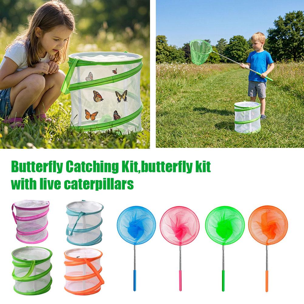Kit de captura de mariposas pa - Kids Outdoor Net reseña y precio